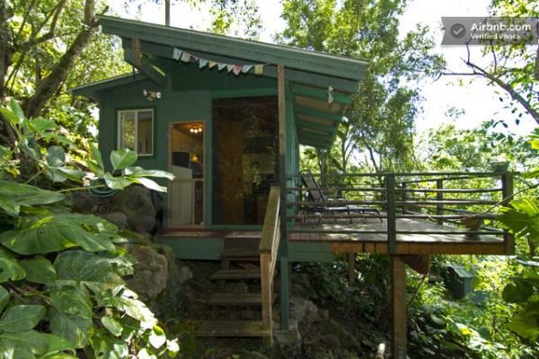 tiny-treehouse-bungalow-oceanview-hawaii-001