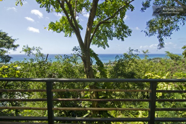tiny-treehouse-bungalow-oceanview-hawaii-0013