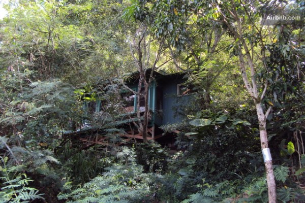 tiny-treehouse-bungalow-oceanview-hawaii-0015