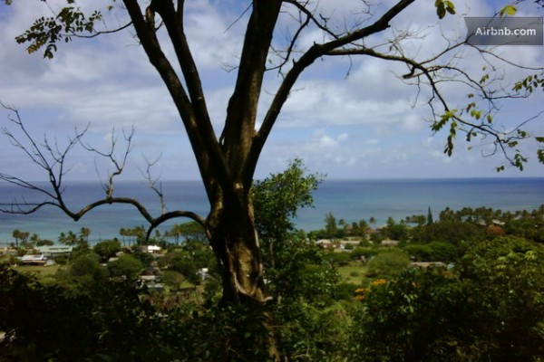 tiny-treehouse-bungalow-oceanview-hawaii-0019