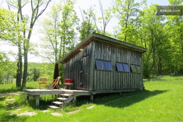 williams-brown-tiny-cabin-rental-in-ny-01