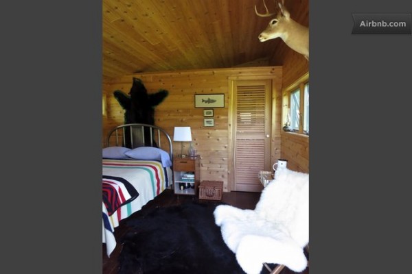 williams-brown-tiny-cabin-rental-in-ny-011