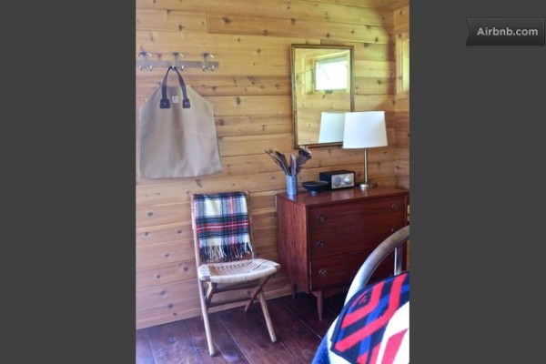 williams-brown-tiny-cabin-rental-in-ny-05
