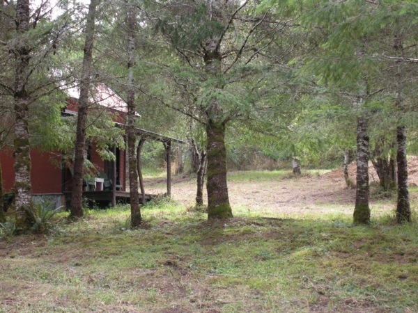 tiny-cabin-on-5-acres-for-sale-04