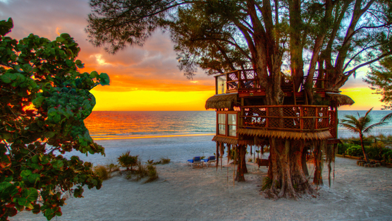 Save this Tiny TreeHouse in Florida