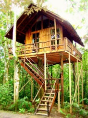 Tiny House on Stilts in Costa Rica