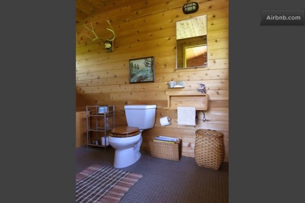 williams-brown-tiny-cabin-rental-in-ny-012
