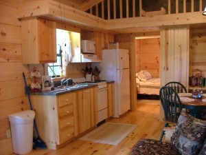 Tiny Cabin Kitchen Interior - Tiny House Pins