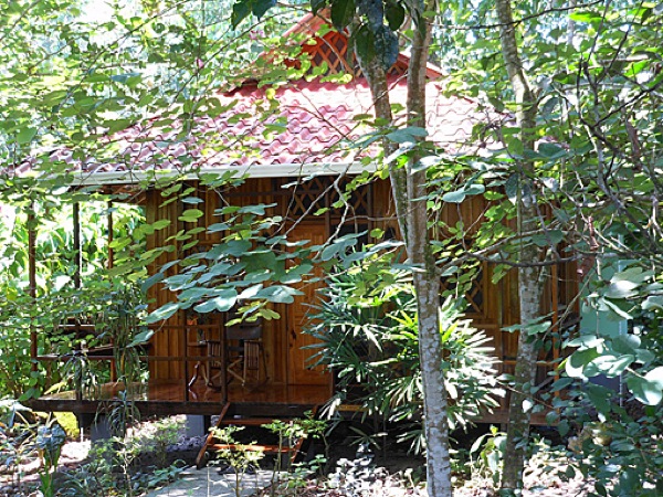 Little Wooden Bungalows in Costa Rica-07