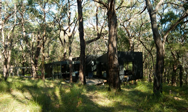 Tiny Modern Cabin in Australia-04