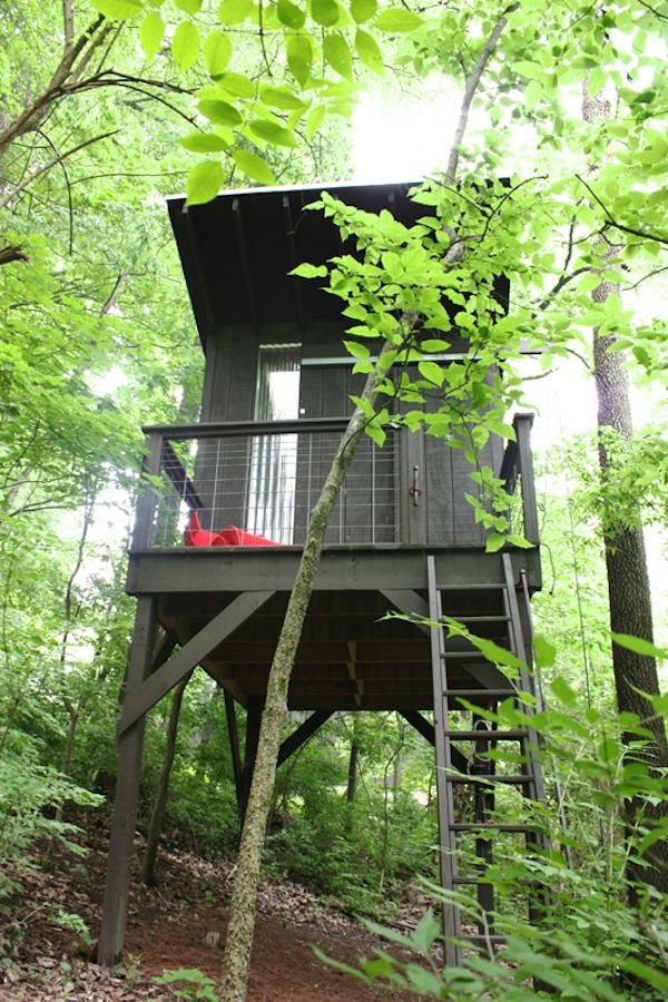 diy-modern-micro-treehouse-cabin-up-in-the-trees