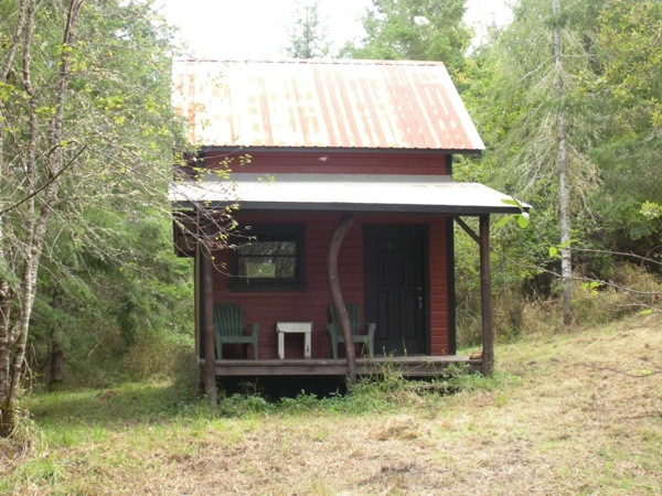 tiny-cabin-on-5-acres-for-sale-01